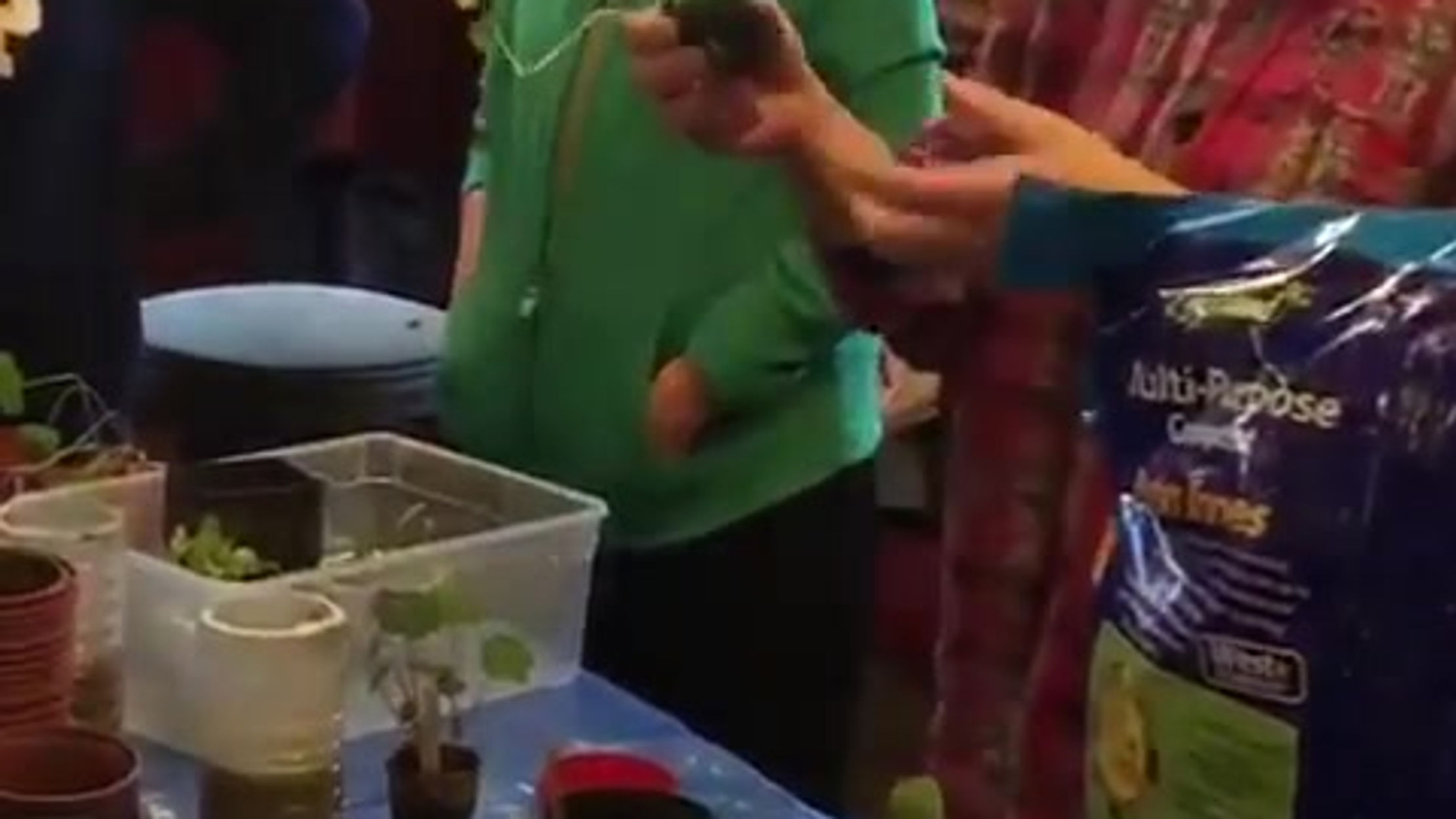 Potting Up Seedlings